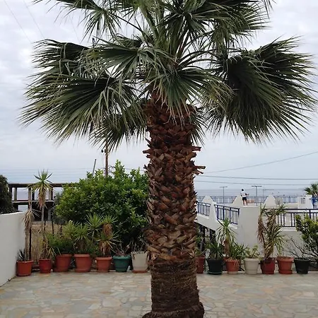 Palm Bay Appartamento *